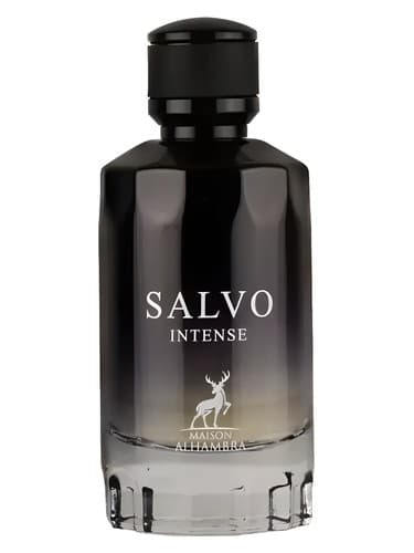 salvo intense